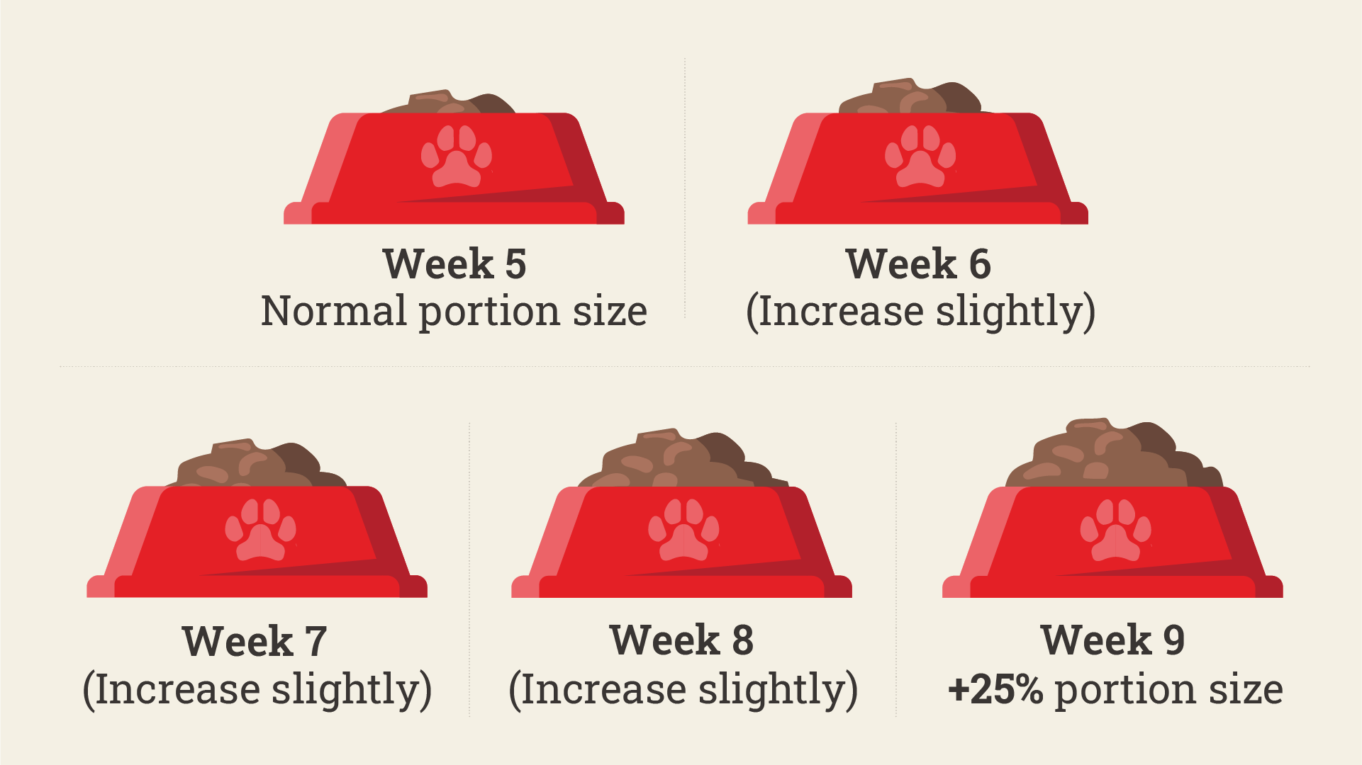 een zwangere hond voeren infographic