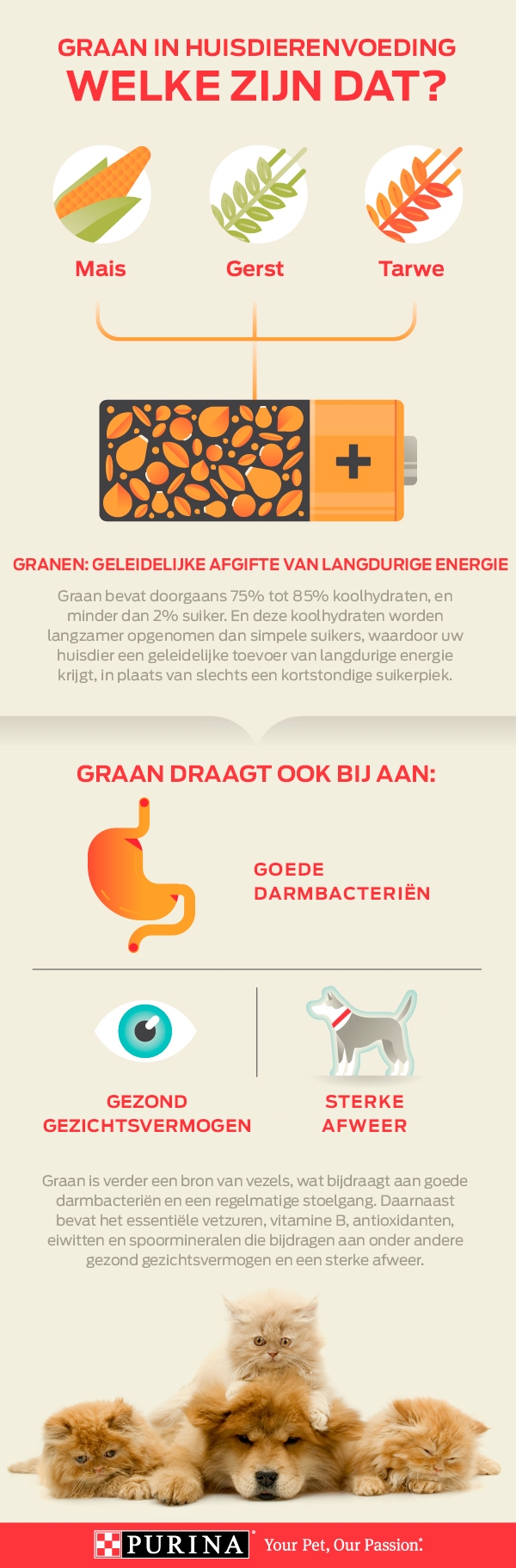 infographic graan in dierenvoeding