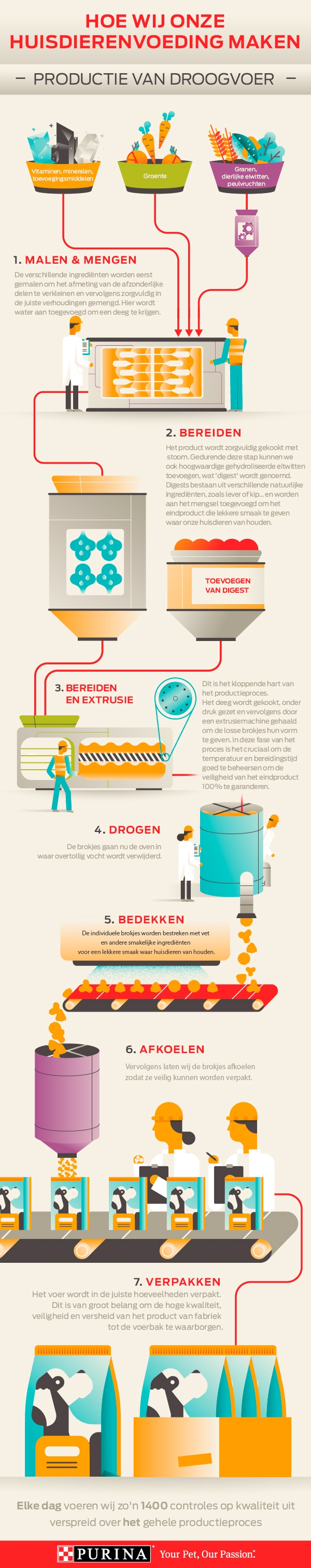 infographic productie droogvoer