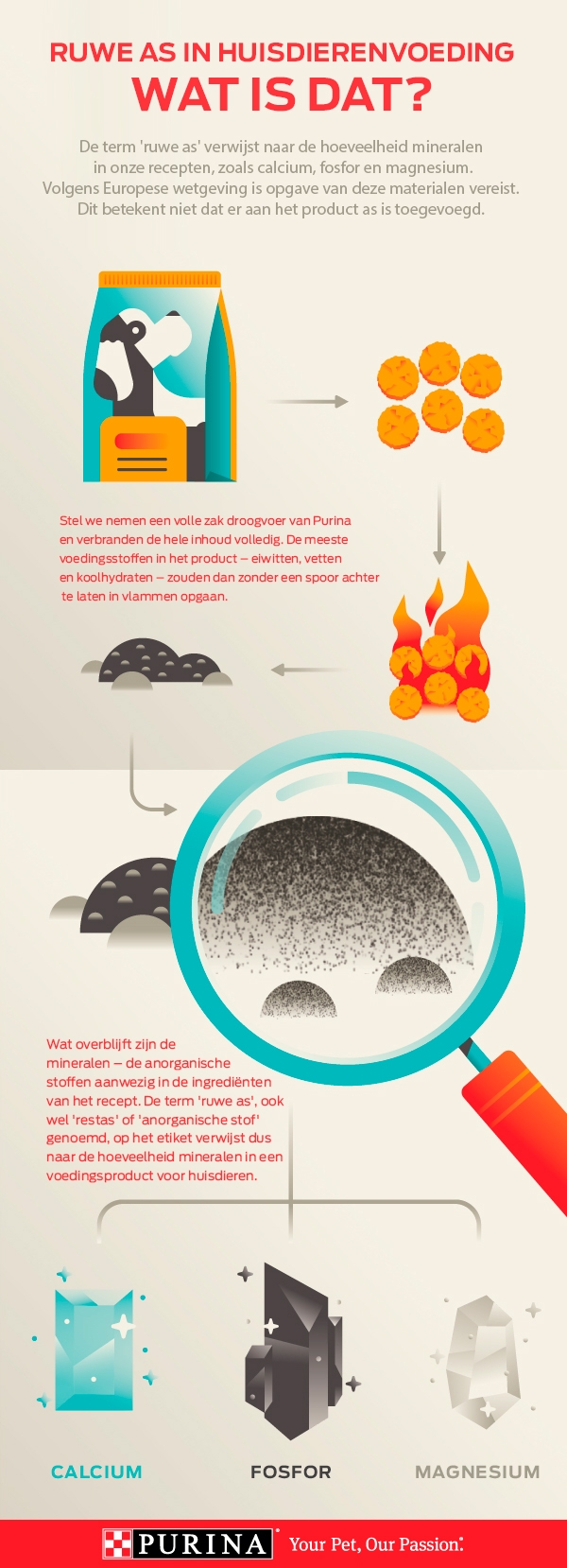 infographic ruwe as in diervoeding