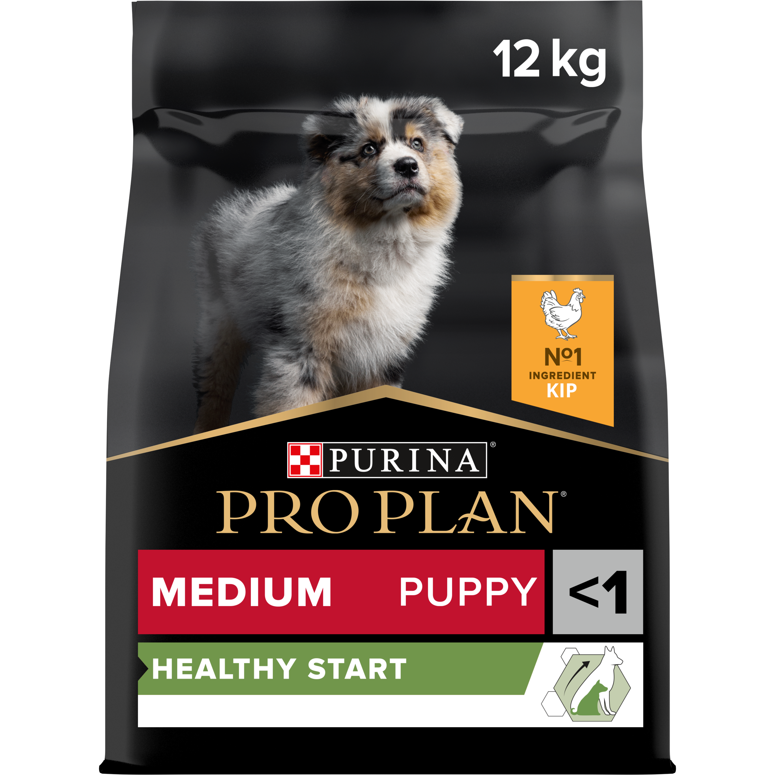 PRO PLAN® Medium Healthy Start Kip | Purina