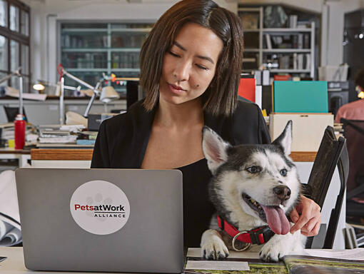 Vrouw die op laptop werkt met Husky