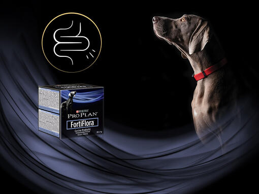  PURINA PRO PLAN FortiFlora®​