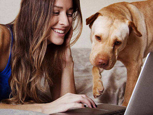 Vrouw en hond op laptop