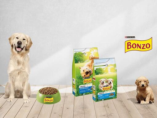 band boycot Minnaar Ontdek het BONZO® assortiment voor honden | Purina