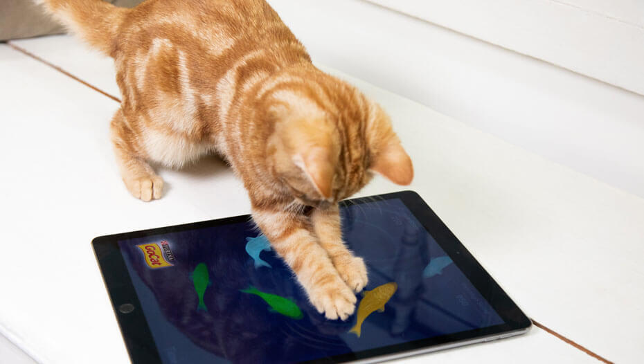 Kattenspelletjes 5 Leuke Idee N Purina   Ipad Games Image 1 